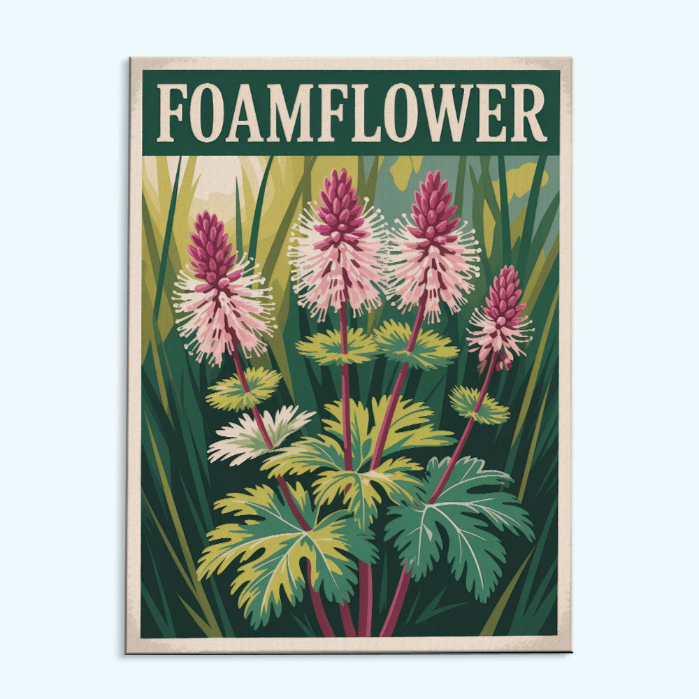 Foamflower - US Wildflowers | Paint by Numbers Kit