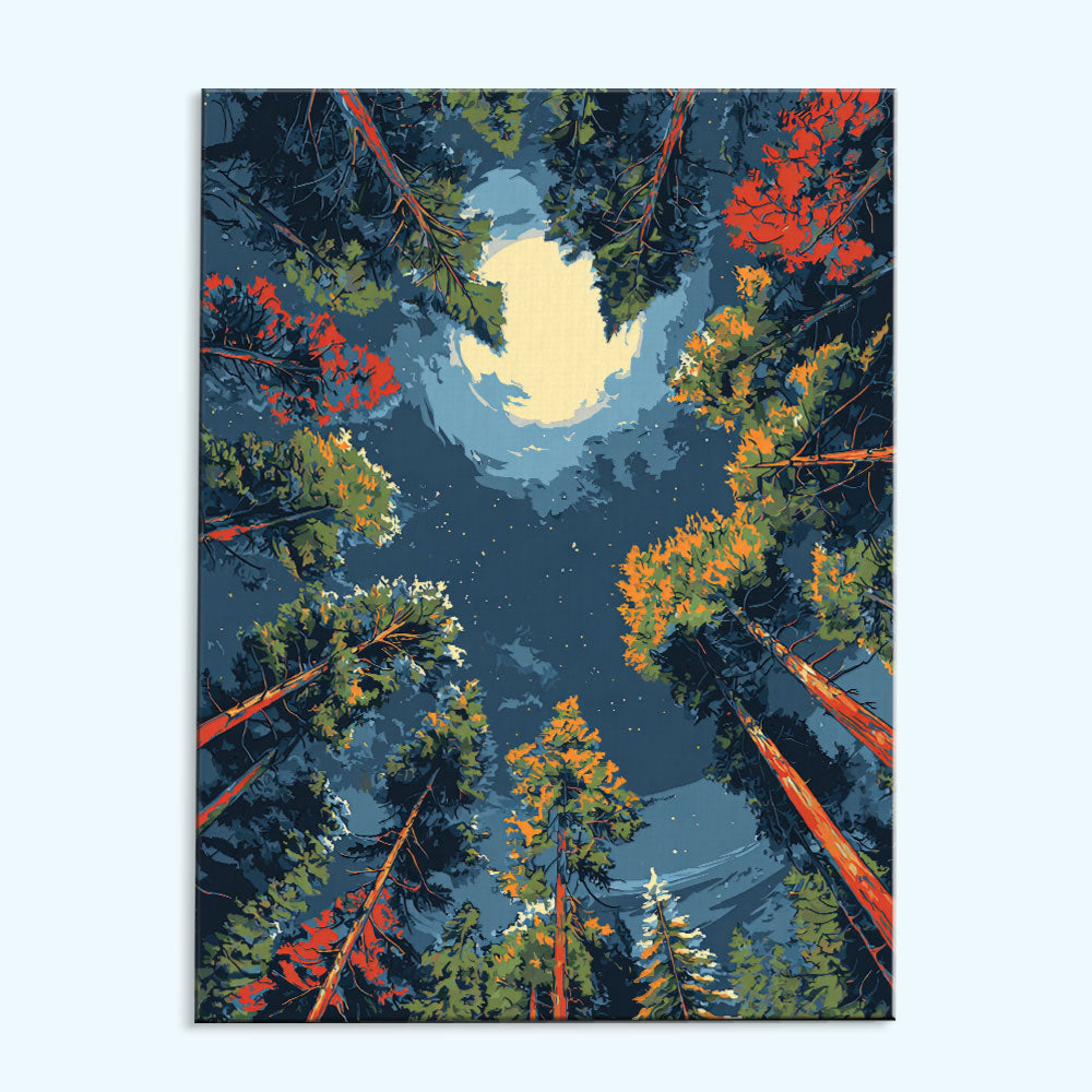 Forest Moonlight | Paint by Numbers Kit