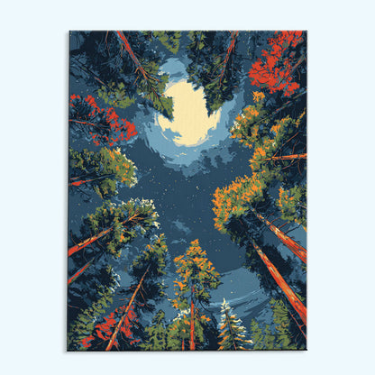 Forest Moonlight | Paint by Numbers Kit