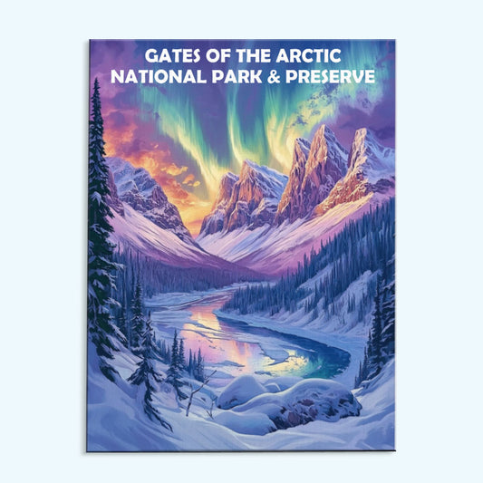 Gates of the Arctic National Park & Preserve Winter | Paint by Numbers Kit