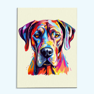 Great Dane - Colorful Dog | Paint by Numbers Kit