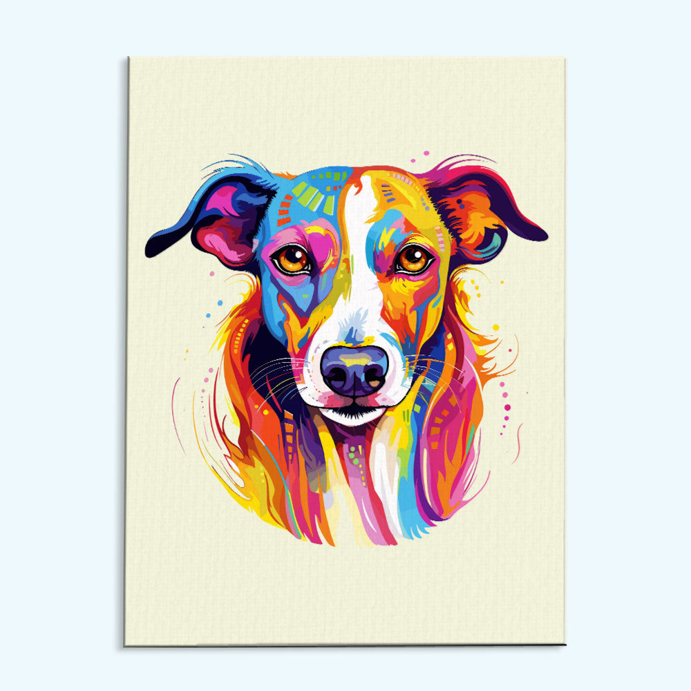 Greyhound - Colorful Dog | Paint by Numbers Kit