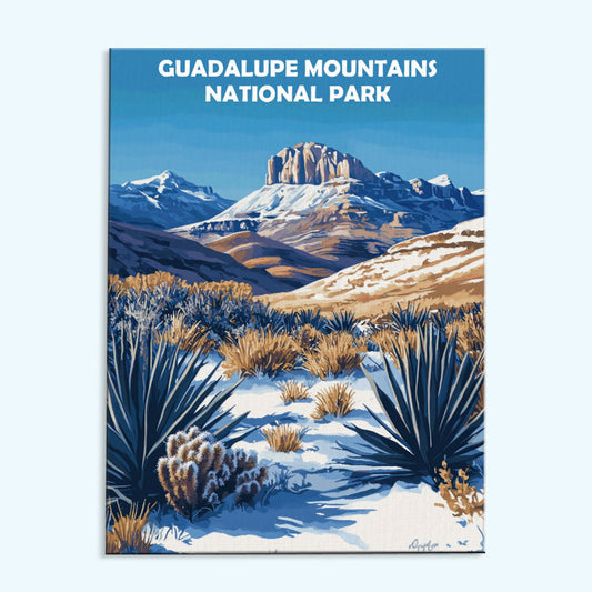 Guadalupe Mountains National Park Winter | Paint by Numbers Kit