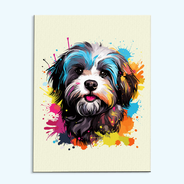 Havanese - Colorful Dog