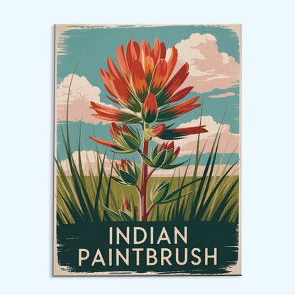 Indian Paintbrush – US-Wildblumen | Malen nach Zahlen-Set