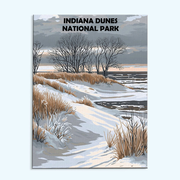 Indiana Dunes Nationalpark Winter | Malen nach Zahlen Set