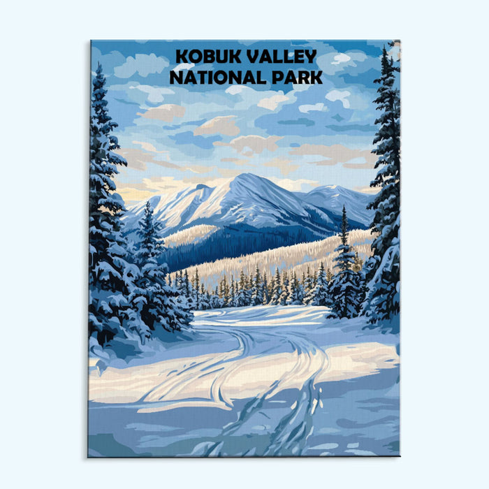 Kobuk Valley National Park Winter