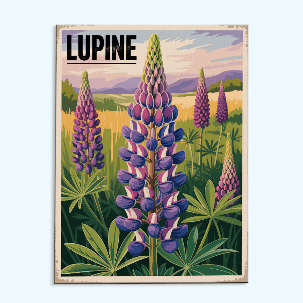 Lupine - US Wildflowers | Paint by Numbers Kit