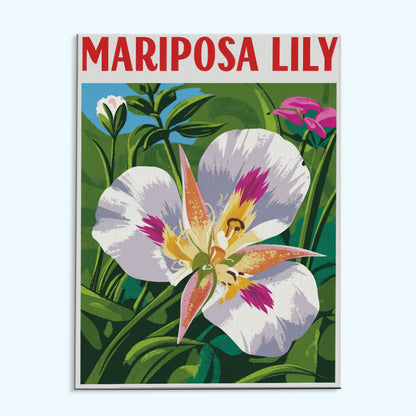 Mariposa Lily - US Wildflowers | Paint by Numbers Kit