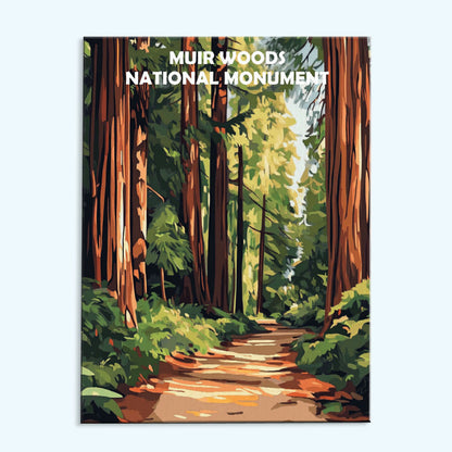 Muir Woods National Monument | Paint by Numbers Kit