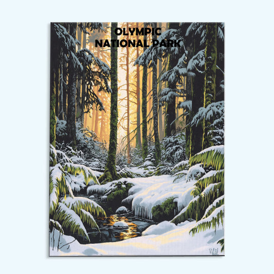 Olympic National Park Winter | Paint by Numbers Kit