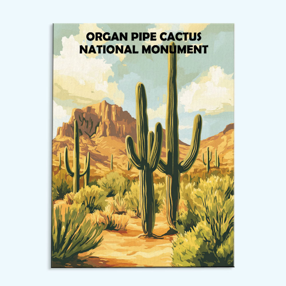 Organ Pipe Cactus National Monument | Paint by Numbers Kit