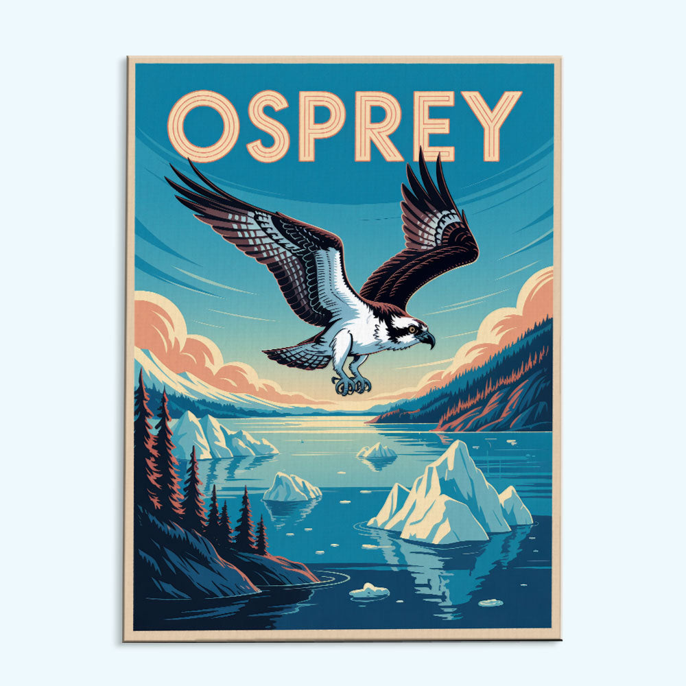 Osprey - National Park Wildlife | Paint by Numbers Kit