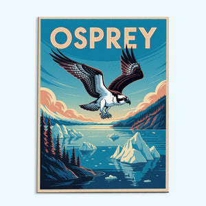 Osprey - National Park Wildlife | Paint by Numbers Kit
