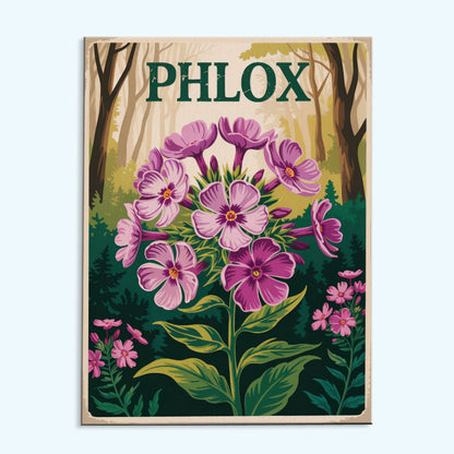 Phlox - US Wildflowers | Paint by Numbers Kit