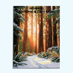 Redwood National- und State Parks Winter | Malen nach Zahlen Set