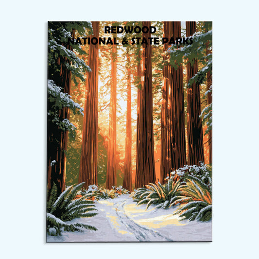 Redwood National and State Parks Winter | Paint by Numbers Kit