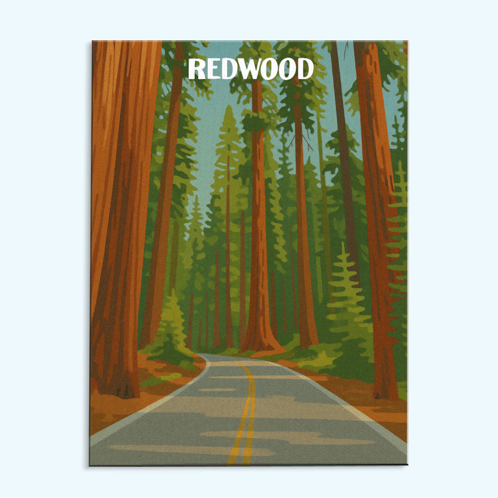 Redwood National Park Beginner | Paint by Numbers Kit