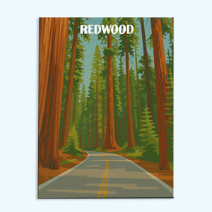 Redwood-Nationalpark Anfänger | Malen nach Zahlen-Set