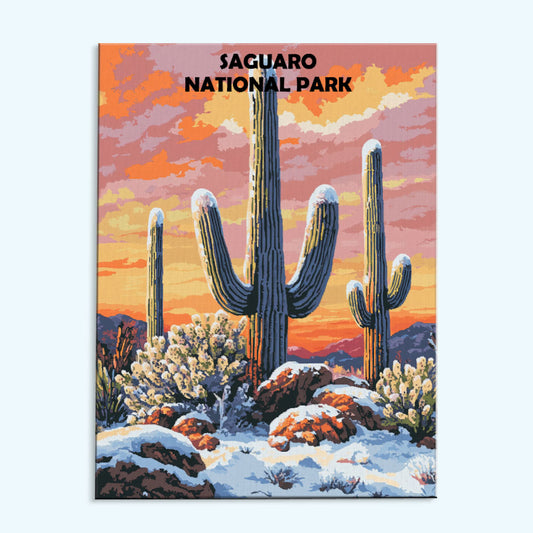 Saguaro National Park Winter | Paint by Numbers Kit