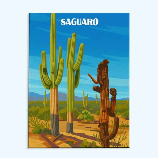 Saguaro-Nationalpark Anfänger | Malen nach Zahlen Set