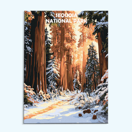 Sequoia National Park Winter | Paint by Numbers Kit