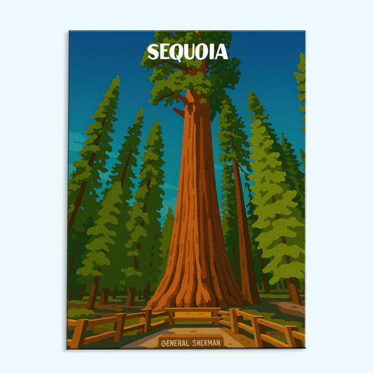 Sequoia National Park Beginner | Paint by Numbers Kit