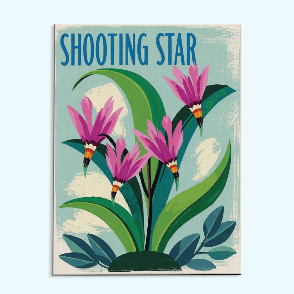 Shooting Star - US Wildflowers | Paint by Numbers Kit