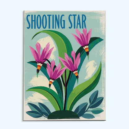 Shooting Star - US Wildflowers | Paint by Numbers Kit