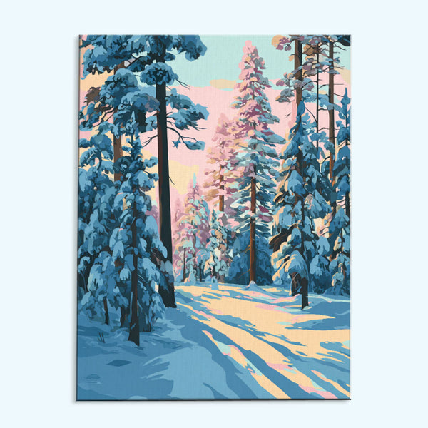 Snowy Path | Paint by Numbers Kit