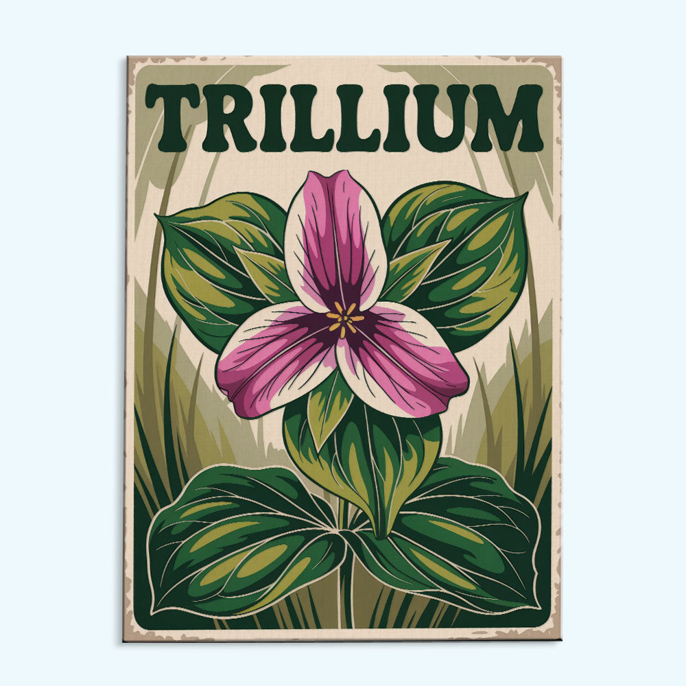Trillium - US Wildflowers | Paint by Numbers Kit