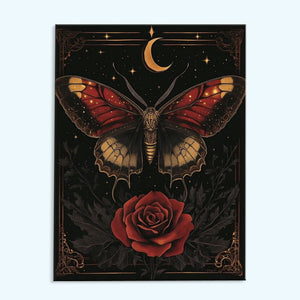 Black Butterfly and Rose | Paint by Numbers Kit