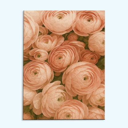 Peach Ranunculus | Paint by Numbers Kit