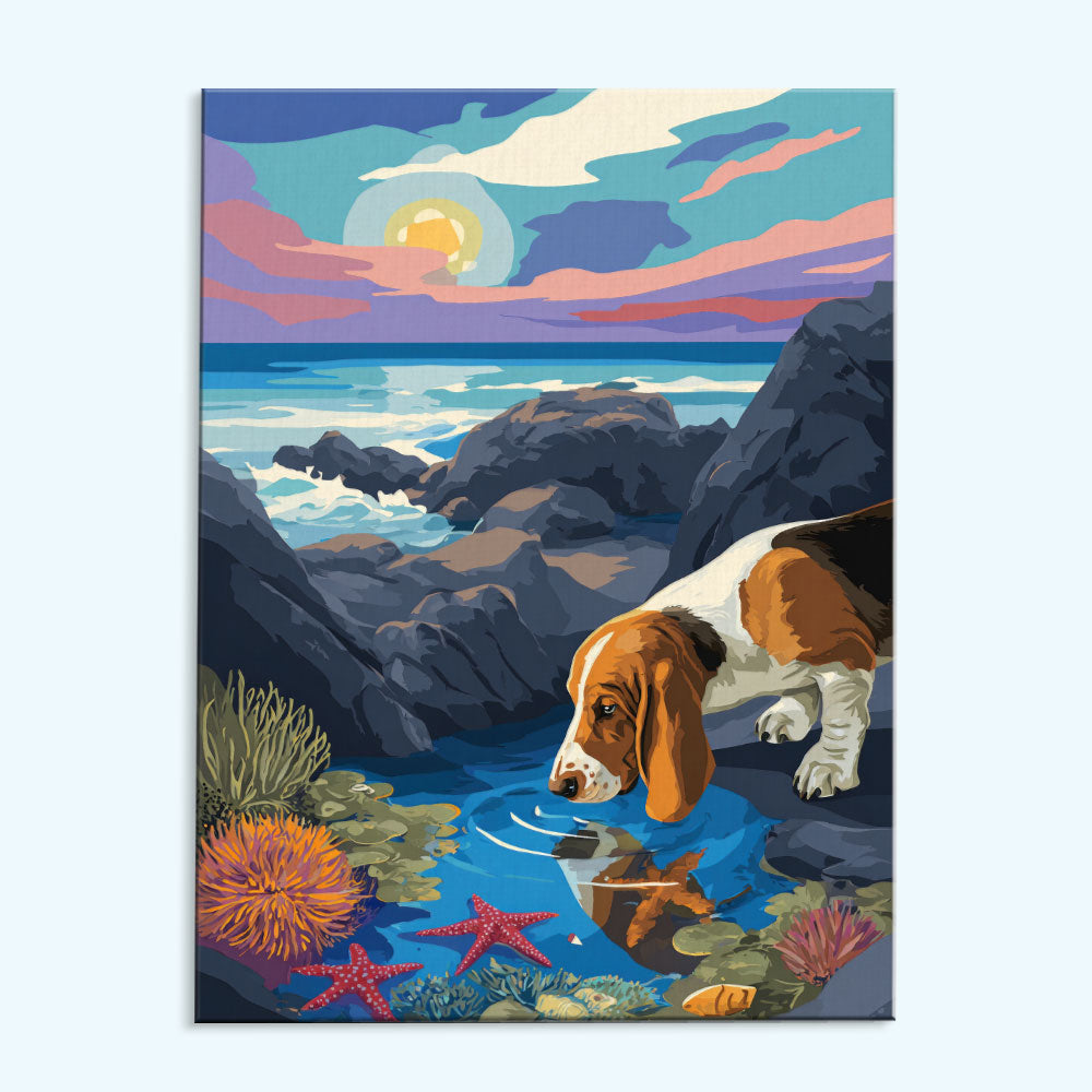 Acadia NP - Basset Hound | Paint by Numbers Kit