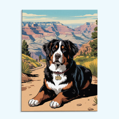 Grand Canyon NP - Bernese Mountain Dog | Paint by Numbers Kit