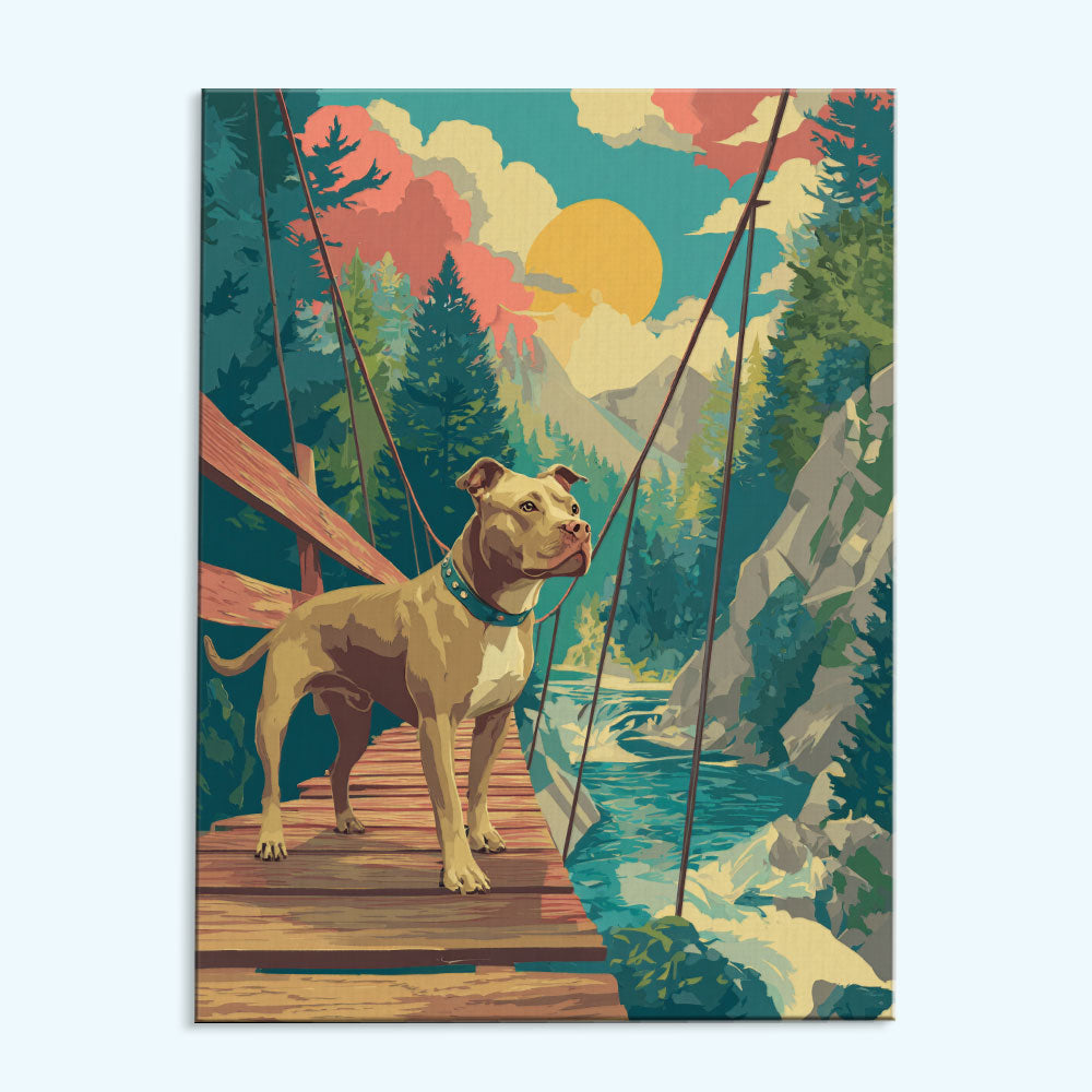 Rocky Mountain NP - Pitbull | Paint by Numbers Kit