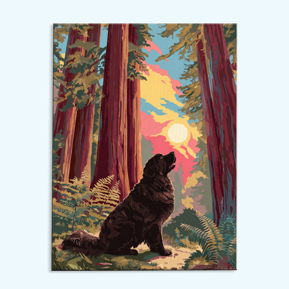 Sequoia NP - Newfoundland Dog | Paint by Numbers Kit