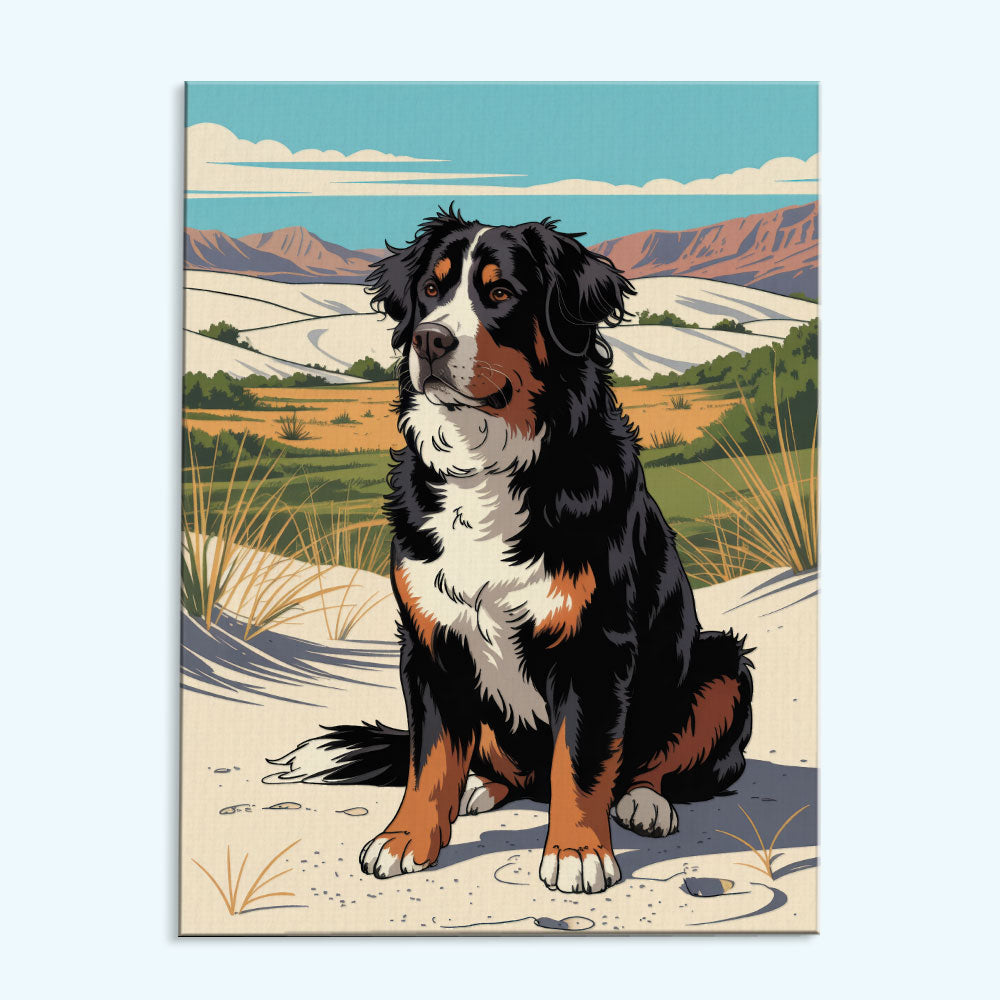 White Sands NP - Bernese Mountain Dog | Paint by Numbers Kit