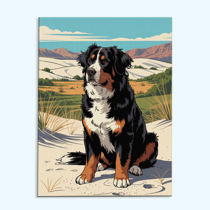 White Sands NP - Bernese Mountain Dog | Paint by Numbers Kit