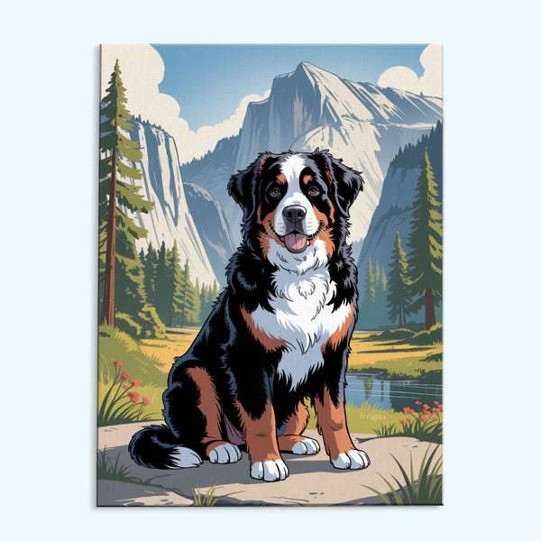 Yosemite NP - Bernese Mountain Dog