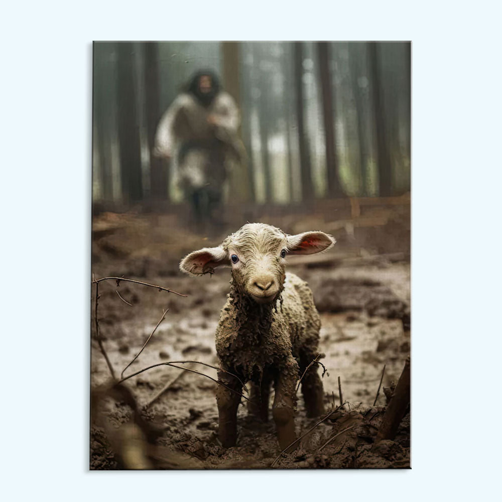 Looking For The Lost Lamb | Paint by Numbers Kit