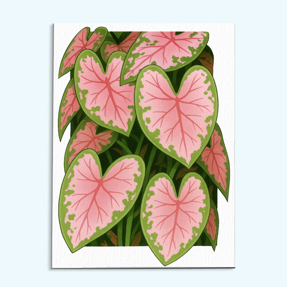 3D Caladium|Paint by Numbers Kit