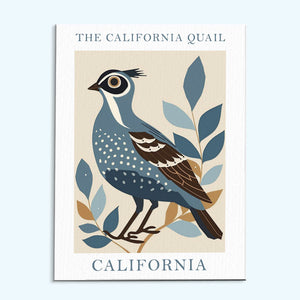 California State Bird California Quail | Paint by Numbers Kit