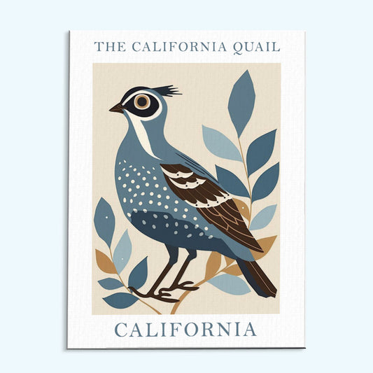 California State Bird California Quail | Paint by Numbers Kit