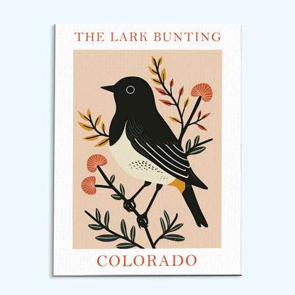 Colorado State Bird Lark Bunting | Paint by Numbers Kit