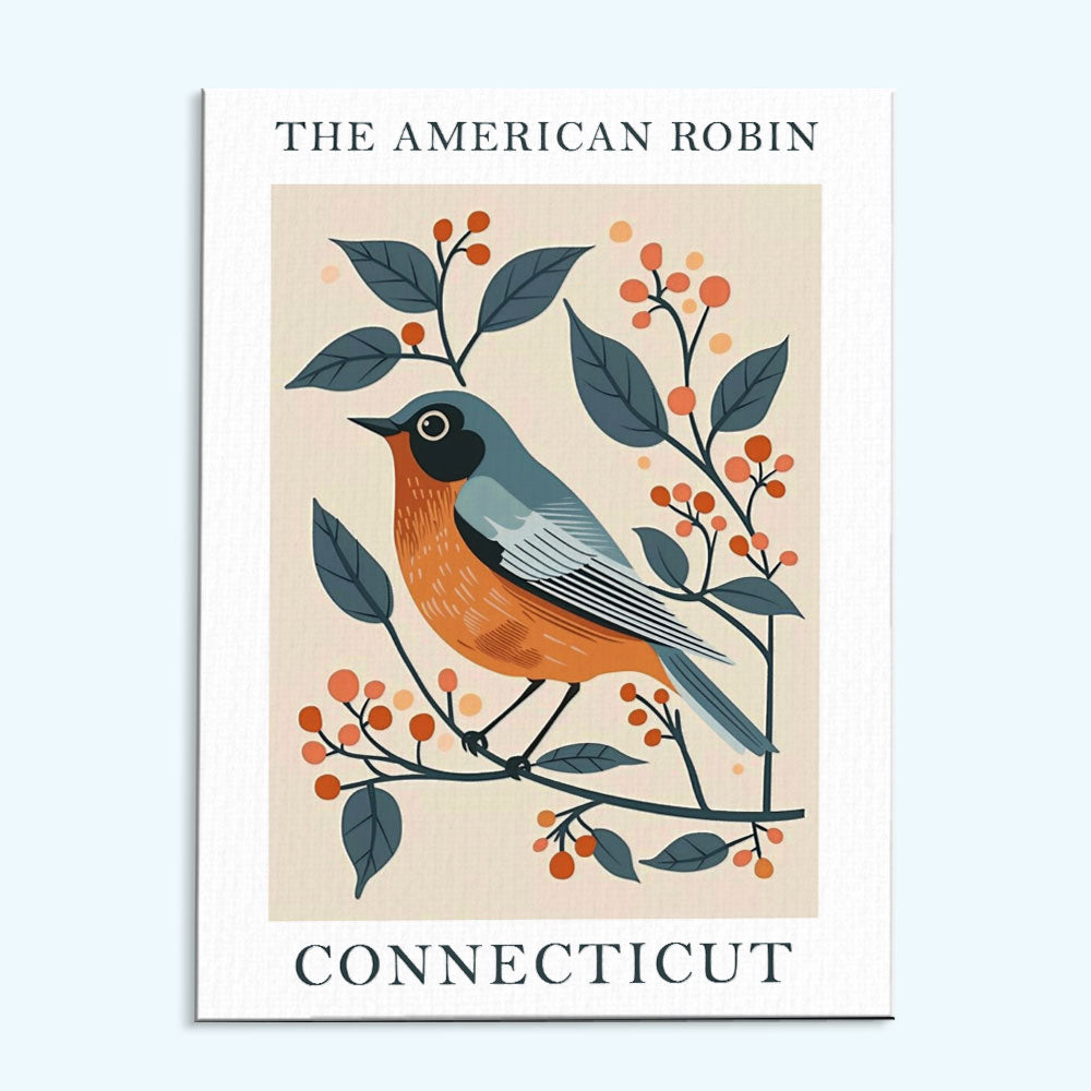 Connecticut State Bird American Robin | Paint by Numbers Kit