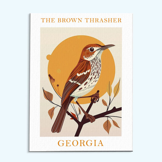 Georgia State Bird Brown Thrasher | Paint by Numbers Kit