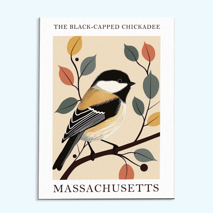 Massachusetts State Bird Black-capped Chickadee
