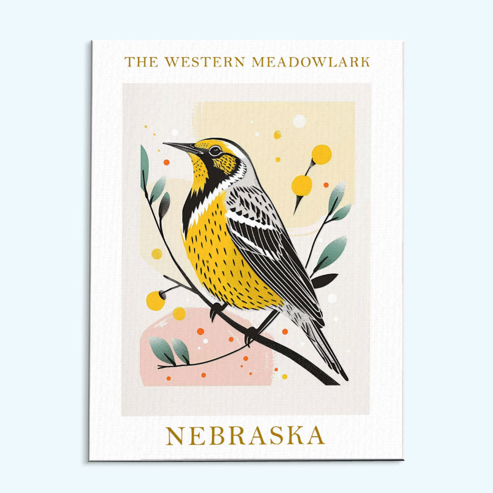 Nebraska State Bird Western Meadowlark | Paint by Numbers Kit