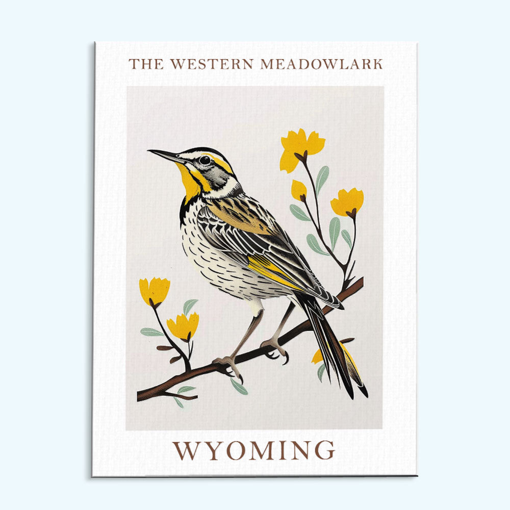 Wyoming State Bird Western Meadowlark | Paint by Numbers Kit